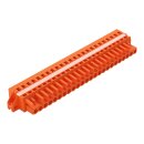 Wago 231-324/027-000 1-Leiter-Federleiste