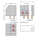 Wago 253-102 2-Leiter-Leiterplattenklemme