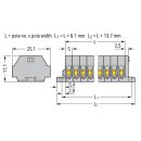 Wago 260-105 2-Leiter-Klemmenleiste Grau