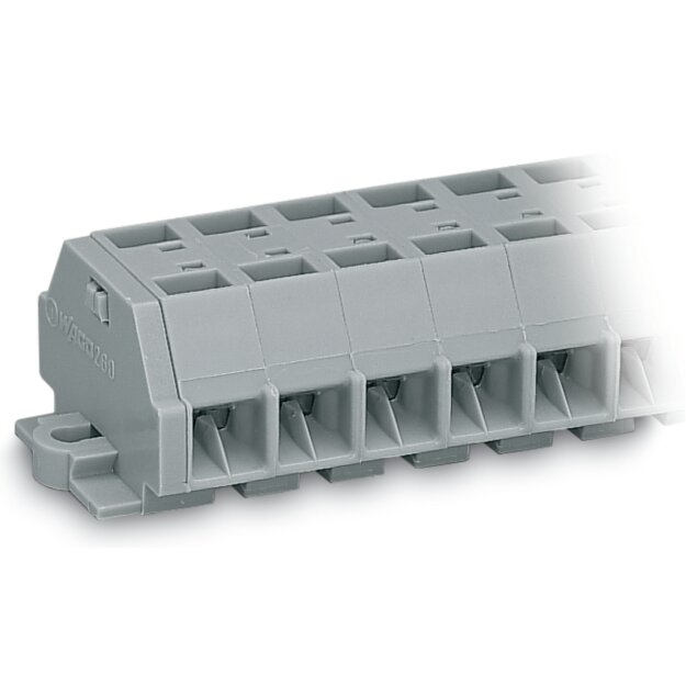 Wago 260-255 4-Leiter-Klemmenleiste Grau