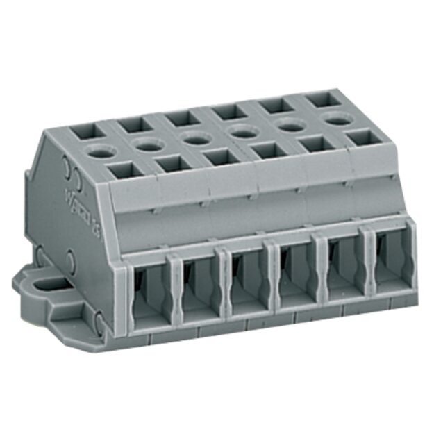 Wago 261-426 2-Leiter-Klemmenleiste Grau