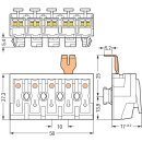 Wago 294-8215 Leuchtenanschlussklemme Weiß