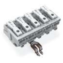 Wago 294-8315 Leuchtenanschlussklemme Weiß