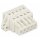 Wago 721-109/031-000 1-Leiter-Federleiste