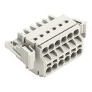 Wago 721-2106/037-000 2-Leiter-Federleiste