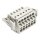 Wago 721-2106/037-000 2-Leiter-Federleiste