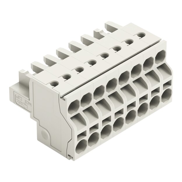 Wago 721-2108/026-000 2-Leiter-Federleiste
