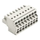 Wago 721-2108/026-000 2-Leiter-Federleiste