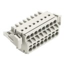 Wago 721-2108/037-000 2-Leiter-Federleiste