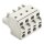 Wago 721-2204/026-000 2-Leiter-Federleiste