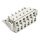 Wago 721-2206/037-000 2-Leiter-Federleiste