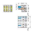 Wago 721-2209/026-000 2-Leiter-Federleiste