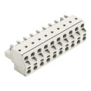 Wago 721-2210/026-000 2-Leiter-Federleiste