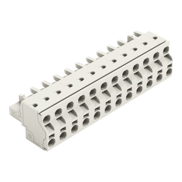 Wago 721-2212/026-000 2-Leiter-Federleiste