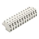 Wago 721-2212/026-000 2-Leiter-Federleiste