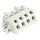 Wago 721-334/031-000 1-Leiter Federleiste