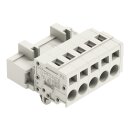 Wago 721-605/018-000 1-Leiter-Stiftleiste