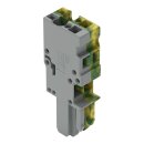 Wago 769-102/000-036 1-Leiter-Federleiste Mehrfarbig