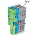 Wago 769-105/000-039 1-Leiter-Federleiste Mehrfarbig