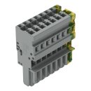 Wago 769-108/000-036 1-Leiter-Federleiste Mehrfarbig