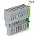 Wago 769-109/000-036 1-Leiter-Federleiste Mehrfarbig