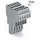 Wago 769-125 2-Leiter-Federleiste Grau