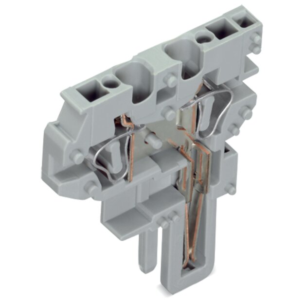 Wago 769-506 2-Leiter-Endmodul Grau