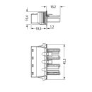 Wago 770-704/009-000 Snap-In-Buchse Schwarz