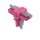 Wago 890-1633 T-Verteiler 4-polig