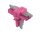 Wago 890-1733 T-Verteiler 4-polig