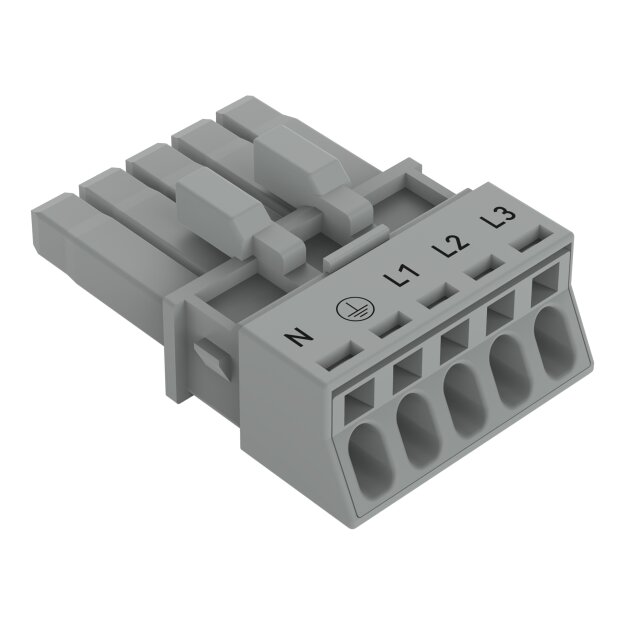 Wago 890-245/060-000 Buchse 5-polig Grau