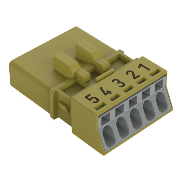 Wago 890-275 Stecker 5-polig
