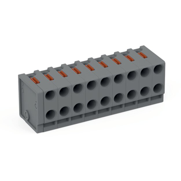 Wago 252-309 2-Leiter-Federleiste Grau