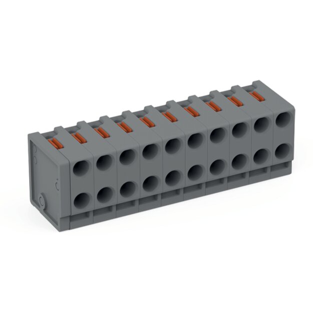 Wago 252-310 2-Leiter-Federleiste Grau