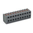 Wago 252-310 2-Leiter-Federleiste Grau