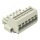 Wago 831-3106/107-000 1-Leiter-Federleiste Grau