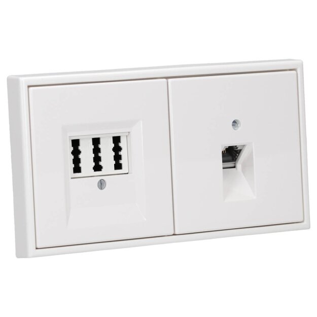 JUNG Serie LS Komplett-Set Schneeweiß Matt: Cat.6A iso-Anschlussdose UAE-Cat.6A iso-8 Up 0 + LS969-1UAWWM Abdeckung + TAE-Anschlussdose TAE 3x6 NFN Up 0 rw + LS969TWWM Abdeckung f. TAE-Anschlussdose + LS982WWM Rahmen 2fach