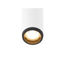 SLV 1009036 GRIP! S Deckenaufbauleuchte single PHASE 2700 K 11 W 29° Weiß / Schwarz