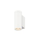 SLV 1010166 HELIA PRO S Wandaufbauleuchte single DALI P2...