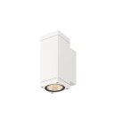 SLV 1010178 THEO PRO S Wandaufbauleuchte single DALI P1...
