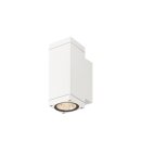 SLV 1010178 THEO PRO S Wandaufbauleuchte single DALI P1...