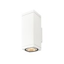 SLV 1010186 THEO PRO L Wandaufbauleuchte single DALI P1...