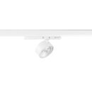 SLV 1010248 KALU 2.0 3~ Spot PHASE zylindrisch 4000 K 10 W 36° Weiß