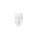 SLV 1010263 KALU 2.0 Wand- und Deckenaufbauleuchte PHASE 3000 K 10 W 36° Weiß