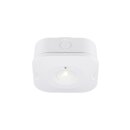 SLV 1010508 P-LIGHT Deckenaufbauleuchte quadratisch 6000K...