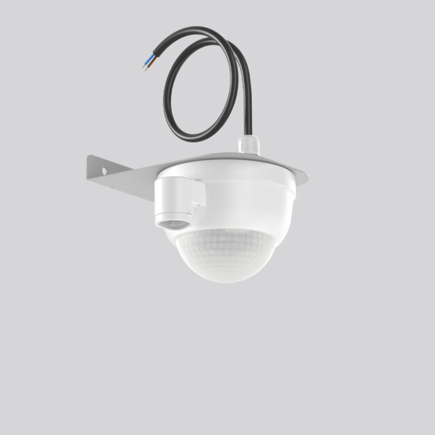 RZB 982813.014 DALI-Multisensor Silber