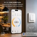 JUNG HOME BTPDSTEB2U Puck Power DALI-2 Steuergerät Tunable White – DALI Dimmer mit 2 Binäreingängen Bluetooth