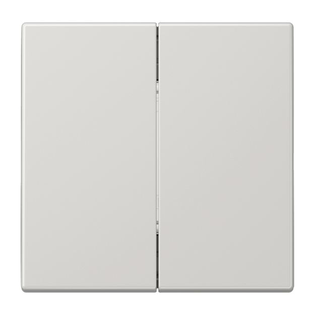 Jung MATLS995LG Matter Taster 2fach batterieversorgt