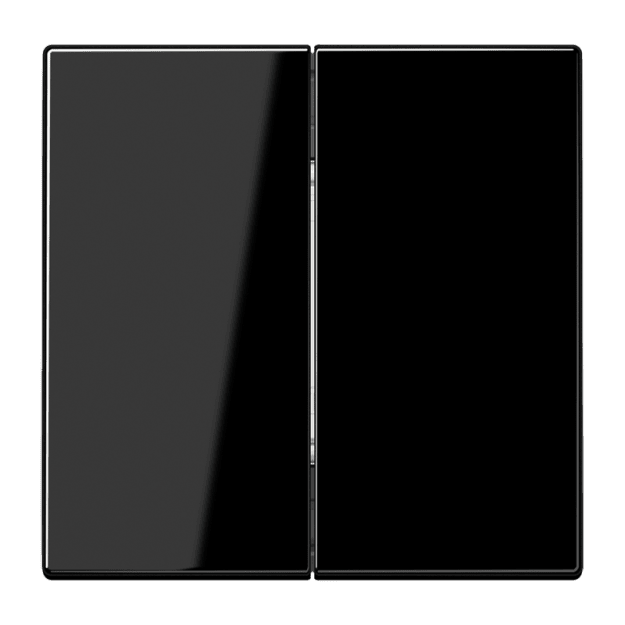 Jung MATLS995SW Matter Taster 2fach batterieversorgt