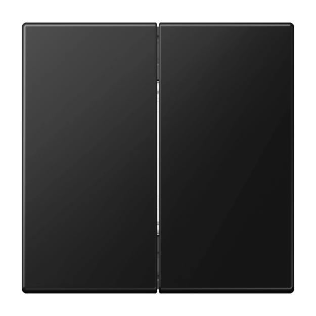 Jung MATLS995SWM Matter Taster 2fach batterieversorgt